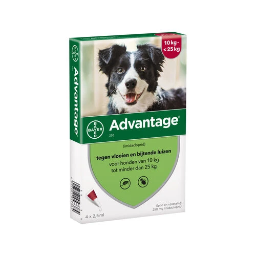 Advantage Hund – Bild 6