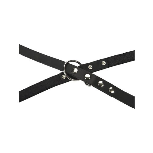 Beeztees Hundeleine Leder â Bild 2