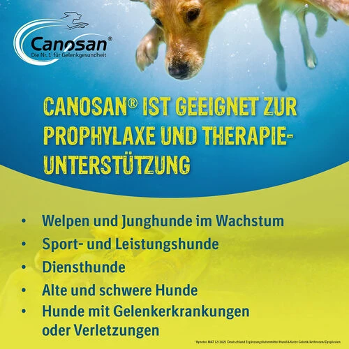 Canosan® Kautabletten Für Hunde – Bild 3