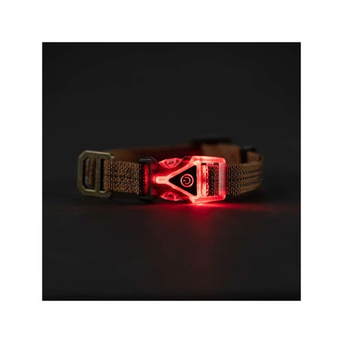 Carhartt Lighted Dog Collar â Bild 2