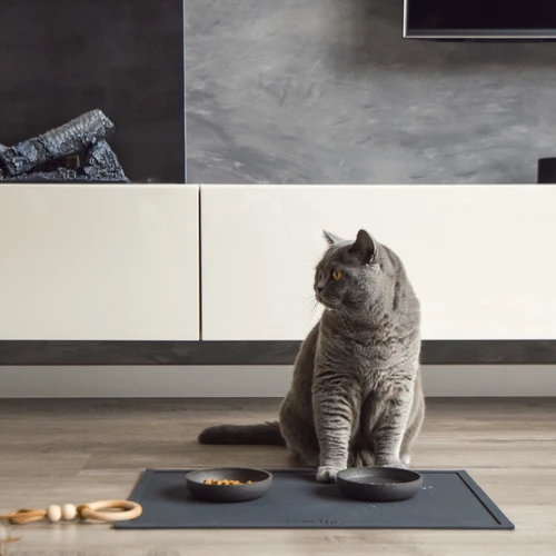 District 70 Serve Placemat – Bild 9