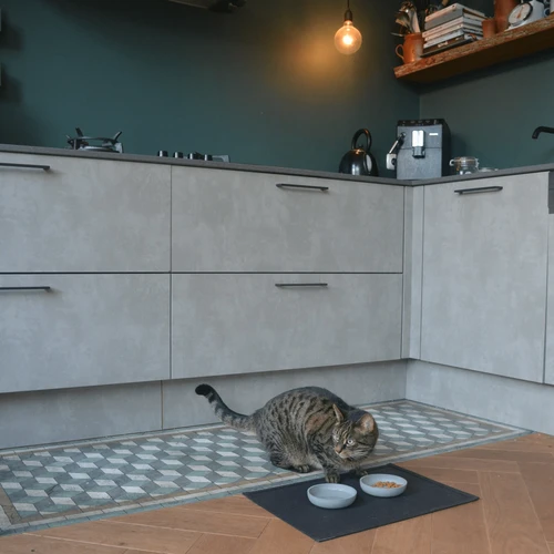 District 70 Serve Placemat – Bild 10