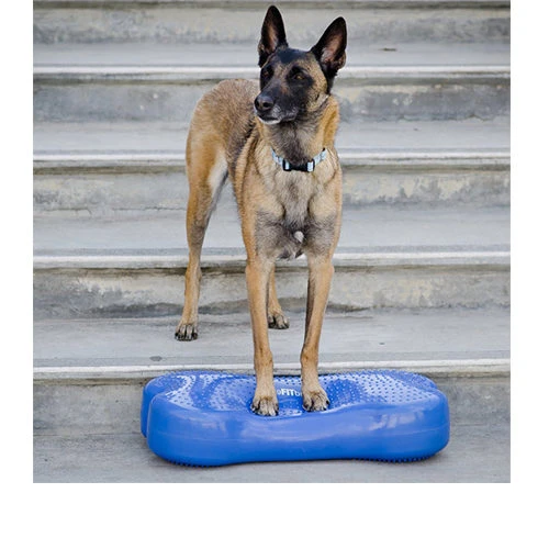 FitPAWS K9Fitbone – Bild 2