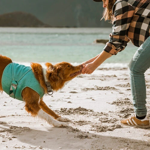 Hurtta Cooling Wrap - Hellblau â Bild 3