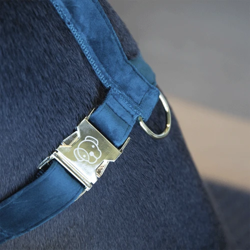 Kentucky Dogwear Hundegeschirr Velvet Loop – Bild 8