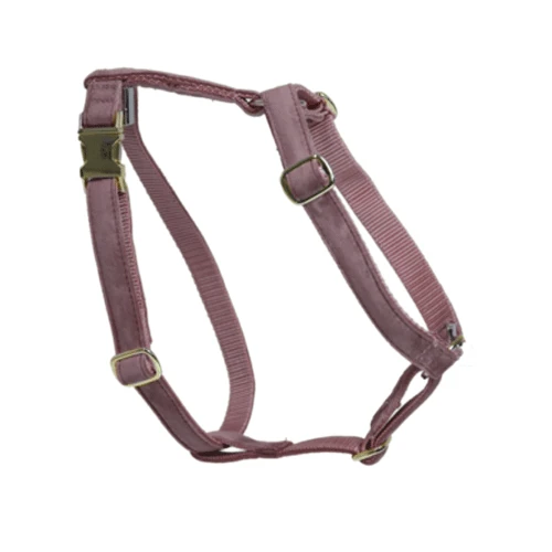 Kentucky Dogwear Hundegeschirr Velvet Loop – Bild 6