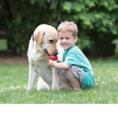 KONG Classic – Bild 8