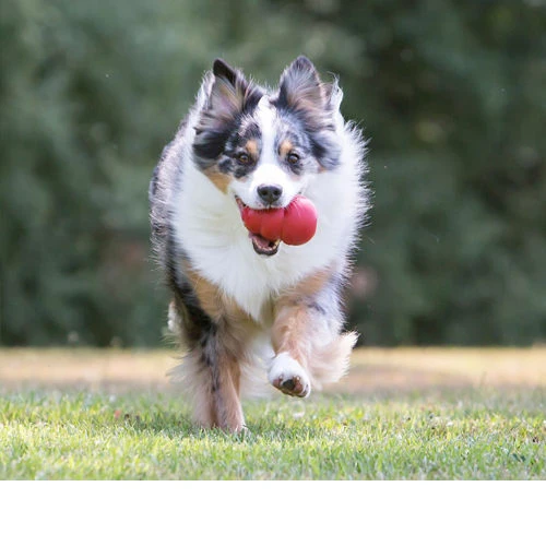 KONG Classic – Bild 2