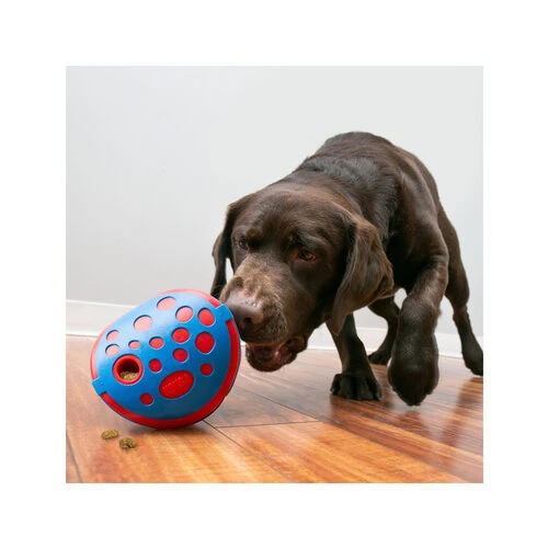 Kong Rewards Wally â Bild 2