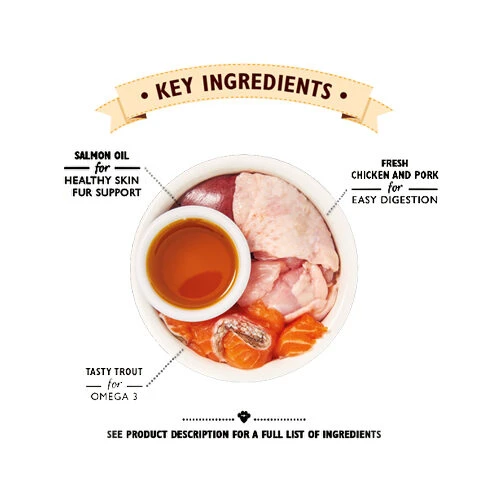 Lily's Kitchen Smooth Paté Kätzchenfutter - Schale – Bild 2