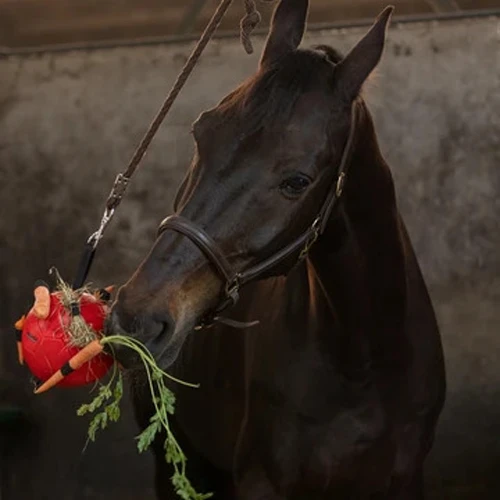 Maximus Fun Play Ball Für Pferde – Bild 4