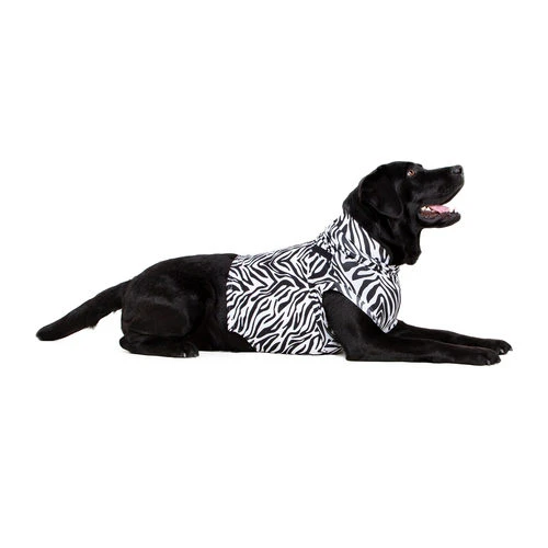 Medical Pet Top Shirt Zebra â Bild 2