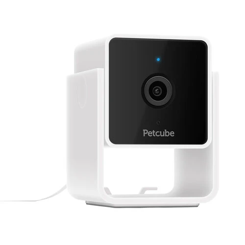 Petcube Cam