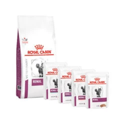 Royal Canin Renal Katze