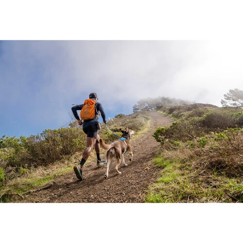 Ruffwear Hi & Light Harness – Bild 3