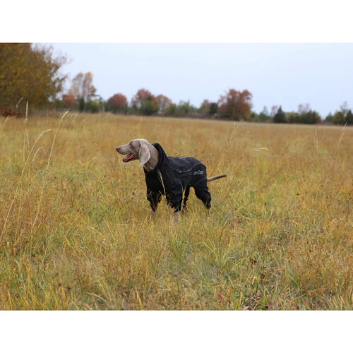 RukkaPets Protect Overall â Bild 3