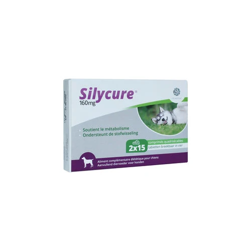 Silycure â Bild 3