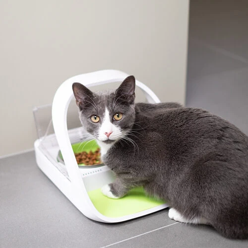 Surefeed Connect Mikrochip-Futterautomat – Bild 4