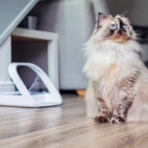 Surefeed Connect Mikrochip-Futterautomat – Bild 5